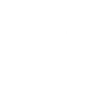 👑